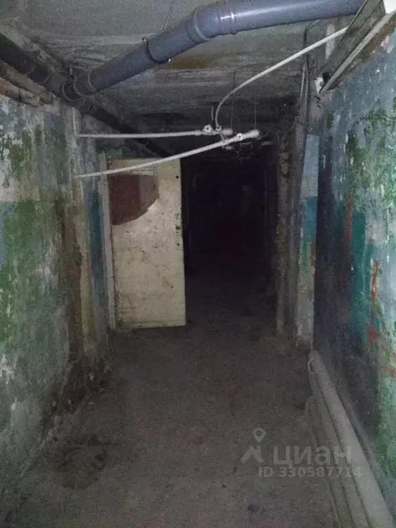 Помещение свободного назначения в Мордовия, Саранск ул. Пушкина, 8 ... - Фото 2