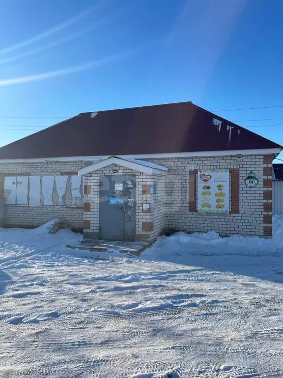 Торговая площадь в Ульяновская область, Чердаклы рп ул. Южная, 61 (146 ... - Фото 2