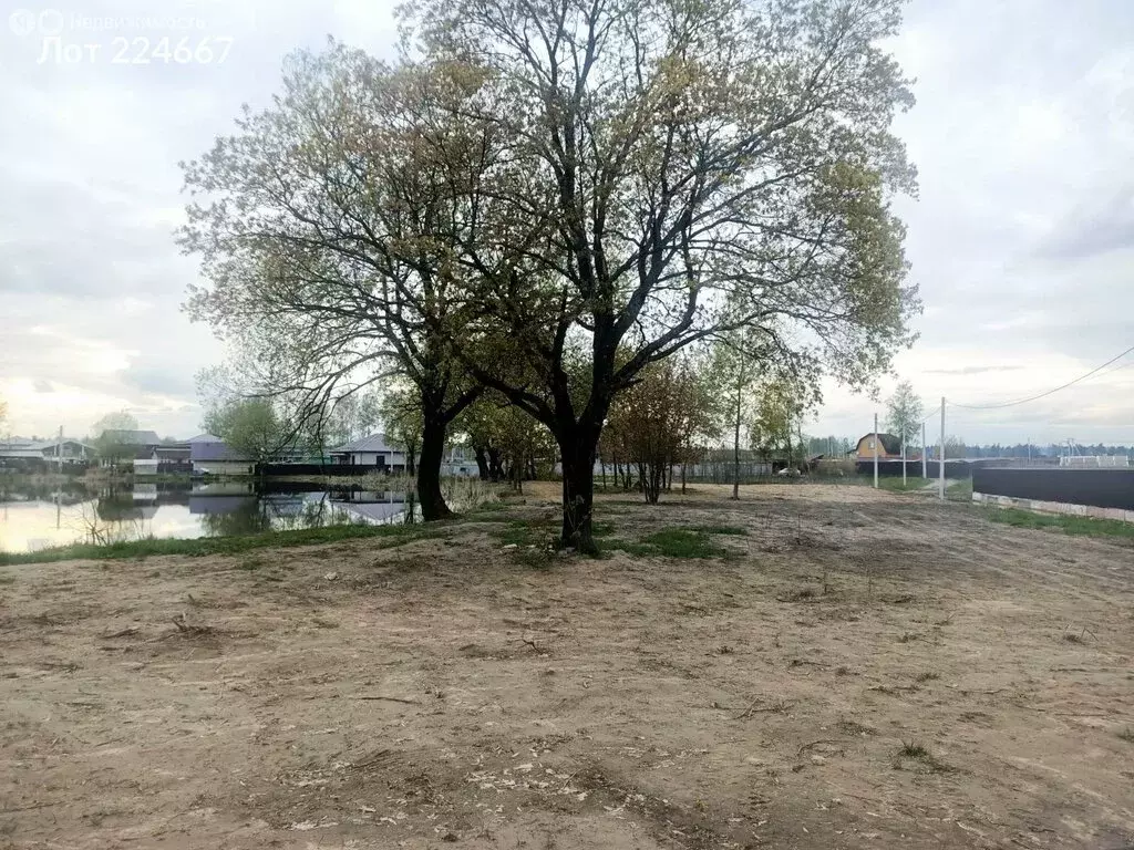 Участок в Московская область, городской округ Щёлково, деревня ... - Фото 1