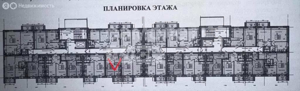 1-комнатная квартира: Волгоград, улица Иссы Плиева, 4 (26.4 м) - Фото 1