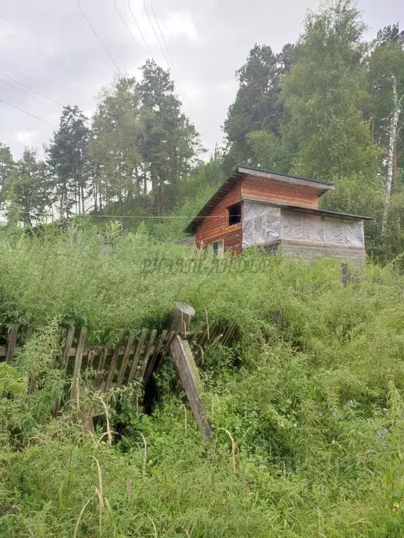 Участок в Алтай, Чемальский район, с. Чемал  (14.0 сот.) - Фото 2