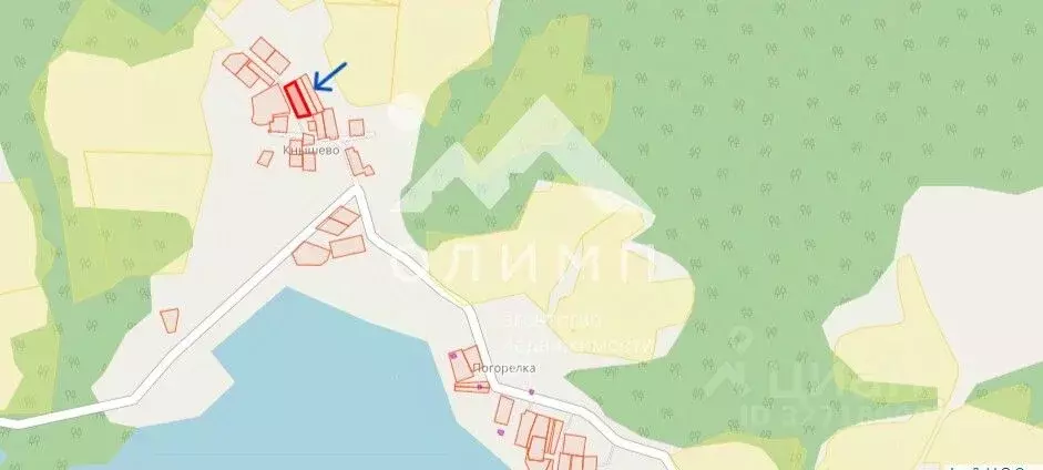 Участок в Вологодская область, Кирилловский муниципальный округ, д. ... - Фото 2