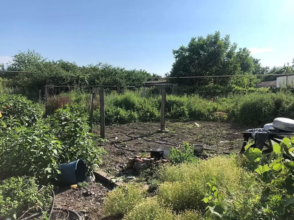 Участок в Краснодарский край, Анапа муниципальный округ, Заря хут. ул. ... - Фото 1