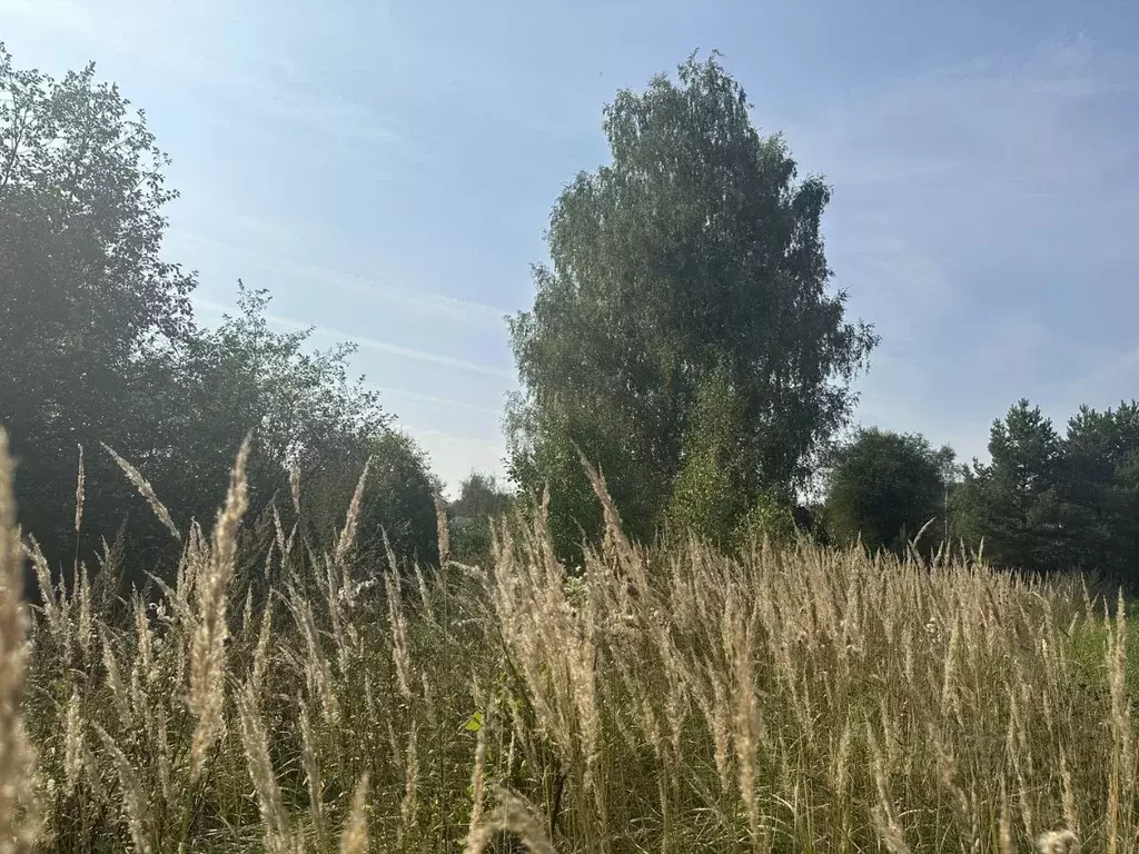 Участок в Московская область, Сергиево-Посадский городской округ, д. ... - Фото 1