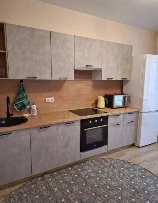 2-к кв. Воронежская область, Воронеж ул. Станкевича, 45к1 (70.9 м) - Фото 1