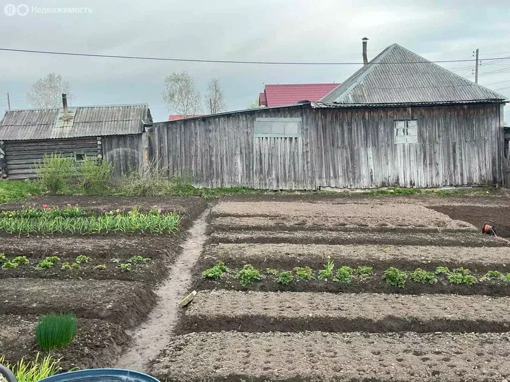 Участок в Усолье, улица Пушкина, 118 (7.2 м) - Фото 1