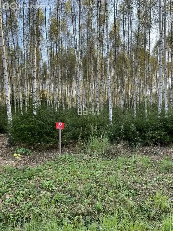 Участок в Московская область, городской округ Ступино, КП Шелково ... - Фото 2