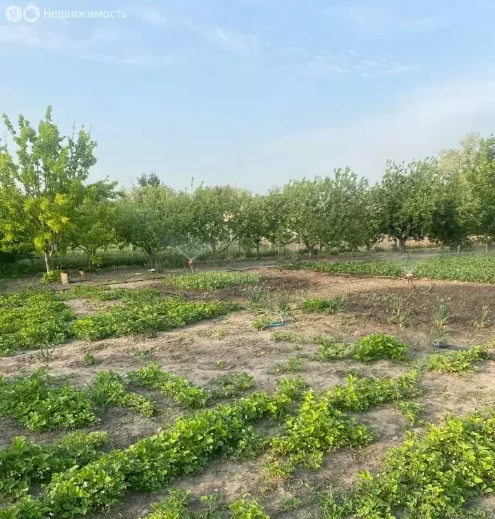 участок в село новобатайск, улица горожанова (11 м) - Фото 0