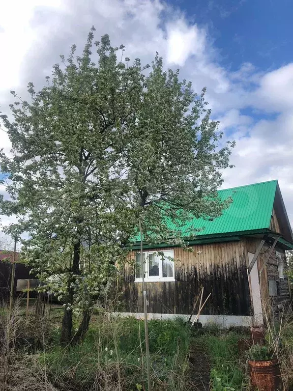 Участок 3,6 сот. (СНТ, ДНП) - Фото 0