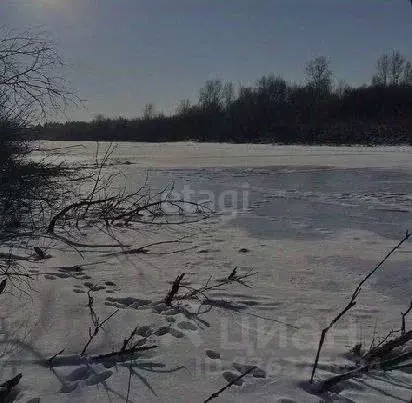 Участок в Новосибирская область, Колыванский район, Проектировщик СНТ ... - Фото 1
