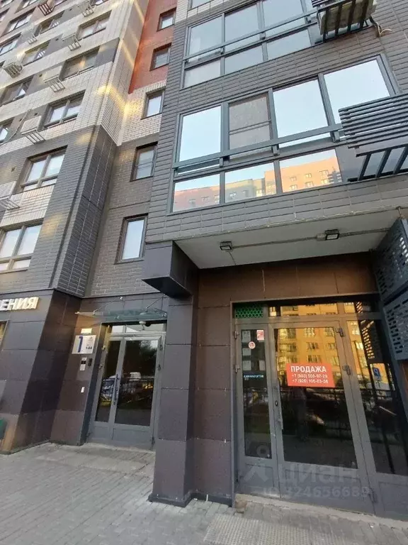 Помещение свободного назначения в Московская область, Ленинский ... - Фото 1