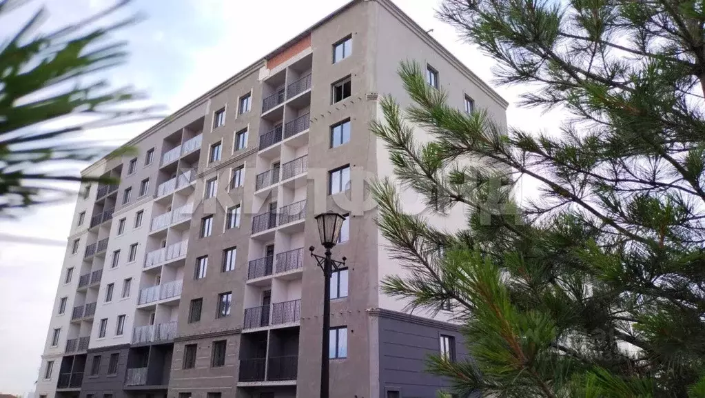 1-к кв. Новосибирская область, Новосибирск 2-я Высокогорная ул. (43.35 ... - Фото 1