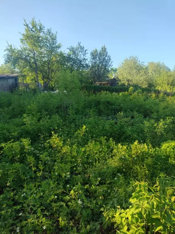 Участок в Пензенская область, Пенза Восход СДТ, 31 (4.2 сот.) - Фото 2