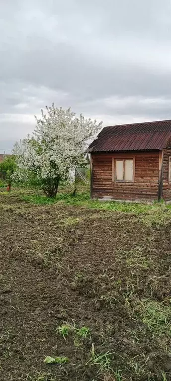 Дом в Новосибирская область, Колыванский район, Надежда СТ ул. 17-я ... - Фото 0