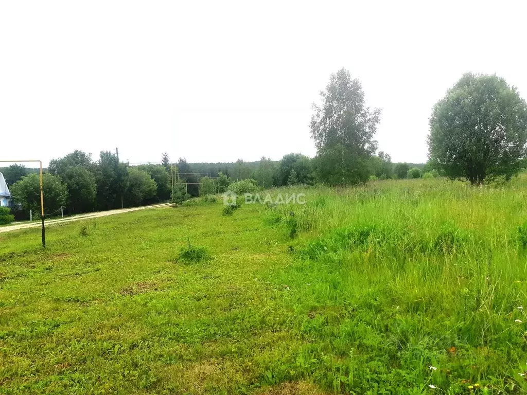 Участок в Пензенская область, Городищенский район, Родничок СТ  (10.0 ... - Фото 0