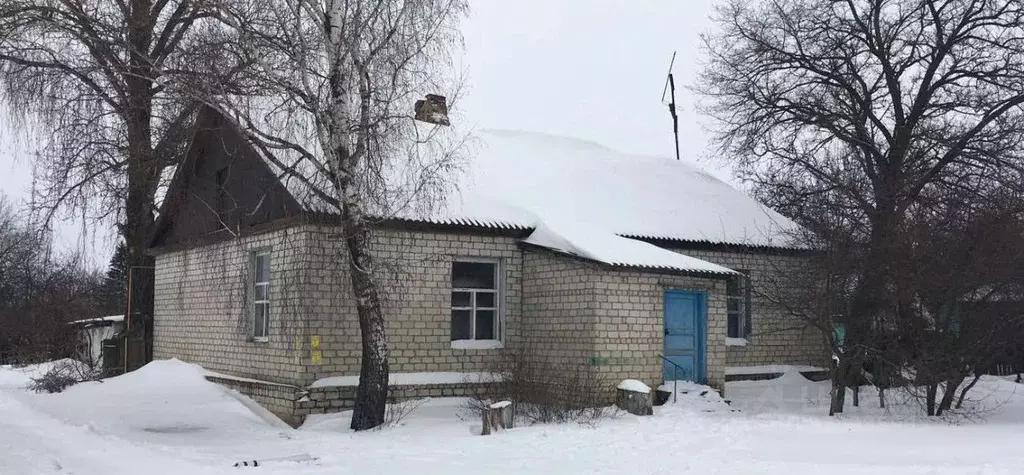 Офис в Курская область, Касторенский район, пос. Лачиново Школьная ... - Фото 1