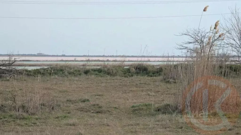 Участок в Крым, Саки Энергетик СПК, 11 (8.35 сот.) - Фото 1