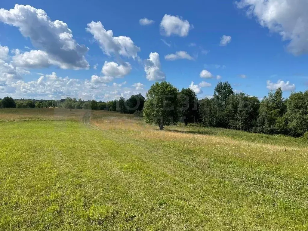 Участок в Новгородская область, Окуловка Славная ул., 26 (302.1 сот.) - Фото 1