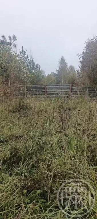 Участок в Ленинградская область, Лужский район, Заклинское с/пос, д. ... - Фото 1