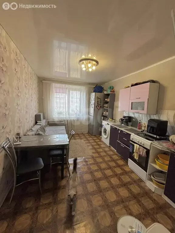 1-комнатная квартира: Чита, Малая улица, 4 (36.1 м) - Фото 1