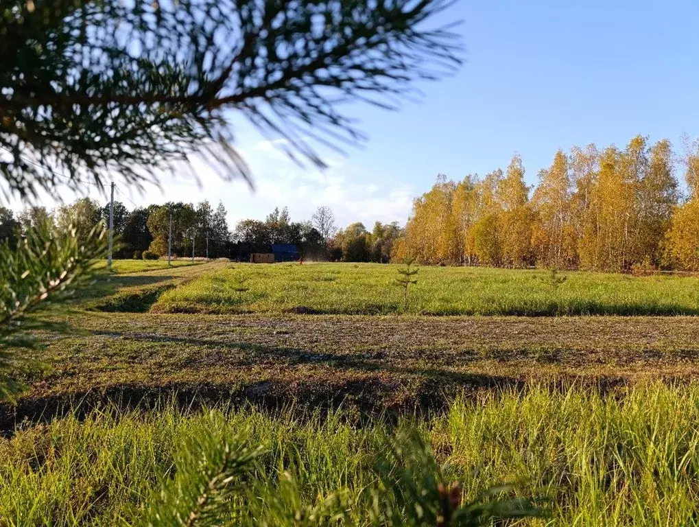 Участок в Тульская область, Заокский район, Страховское с/пос, д. ... - Фото 2