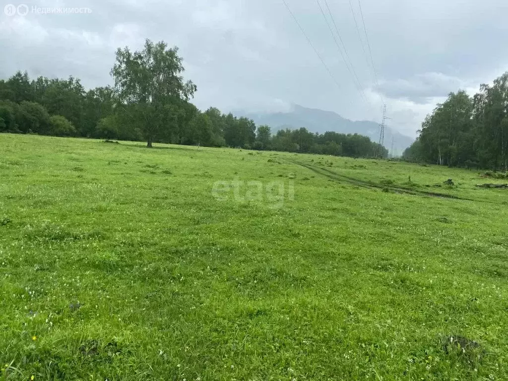 Участок в Онгудайский район, село Каракол (43 м) - Фото 0