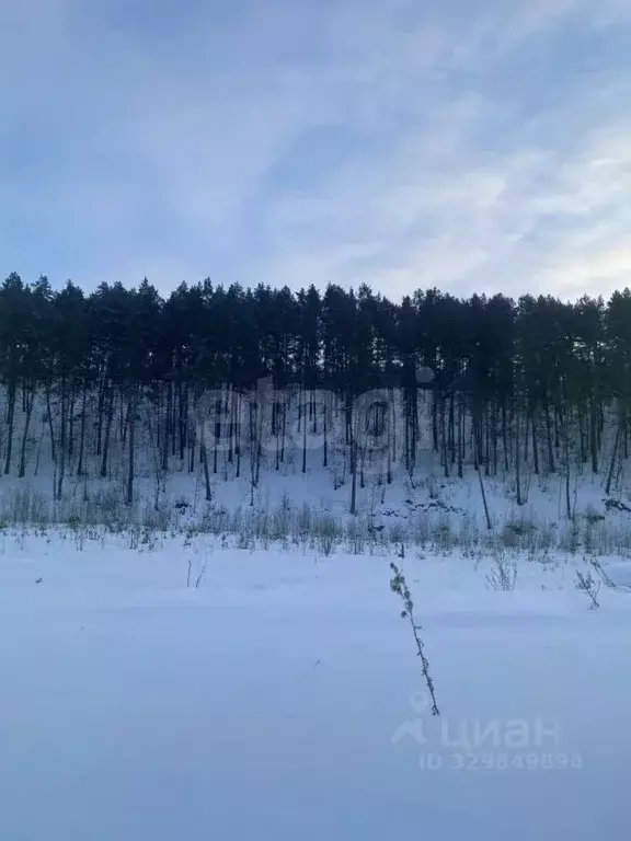Участок в Алтай, Майминский район, с. Манжерок  (10.0 сот.) - Фото 1