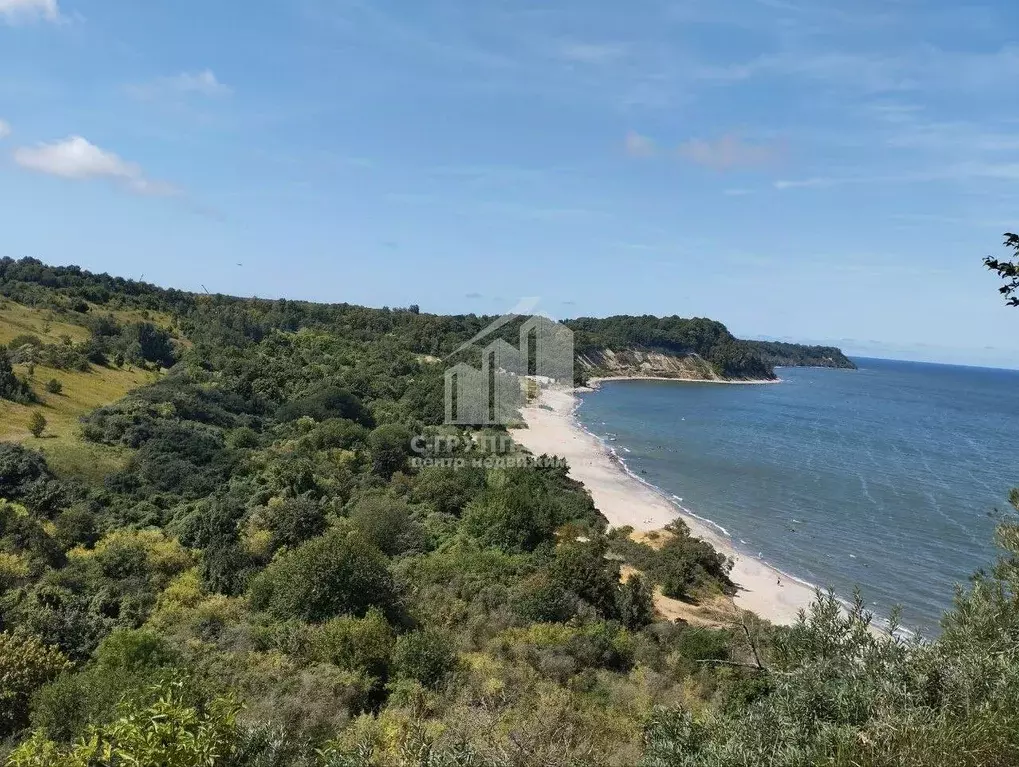 Участок в Калининградская область, пос. Приморье ул. Березовая, 25 ... - Фото 1