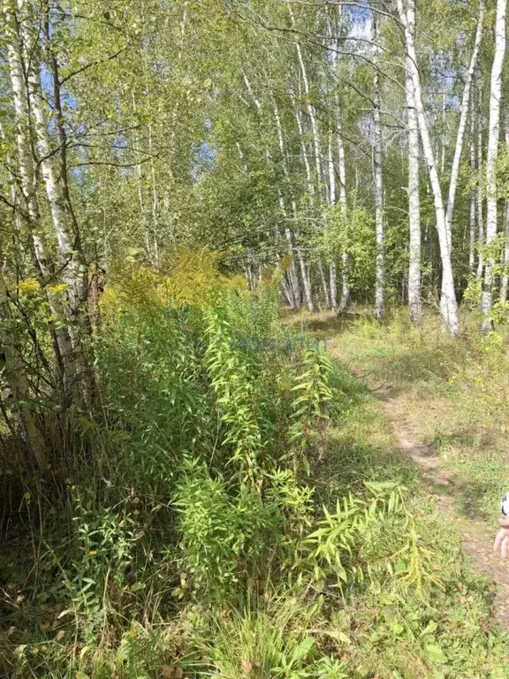 Участок в Нижегородская область, Богородский муниципальный округ, Русь ... - Фото 0