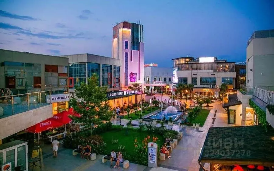 Помещение свободного назначения в Краснодарский край, Сочи ул. ... - Фото 2