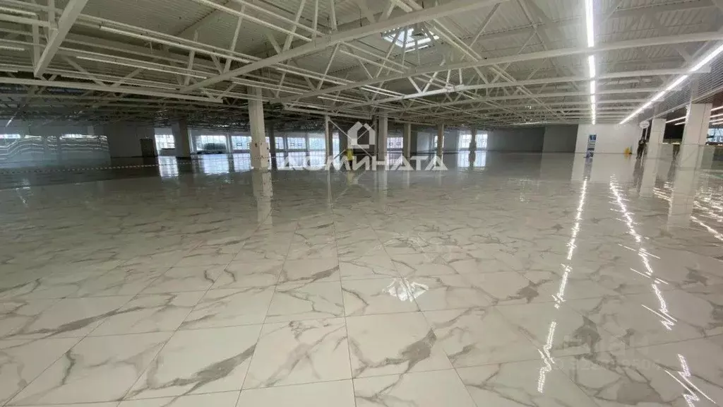 Торговая площадь в Санкт-Петербург Дунайский просп., 27к1 (800 м) - Фото 2