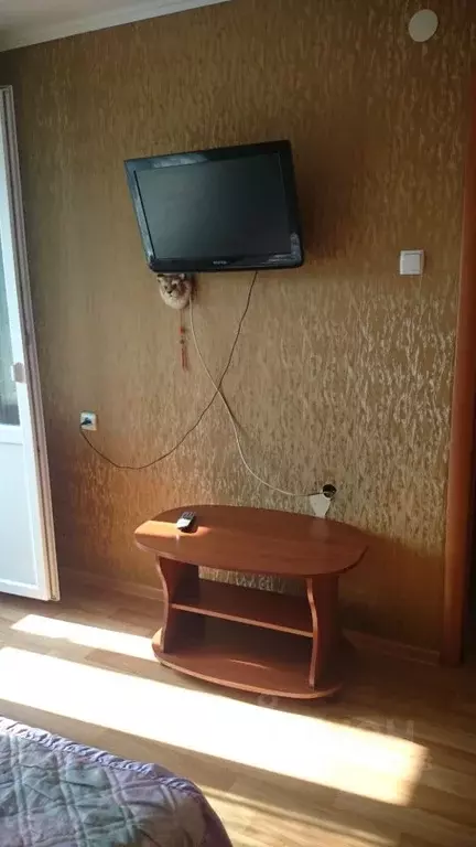 Комната Севастополь просп. Героев Сталинграда (14.0 м) - Фото 1