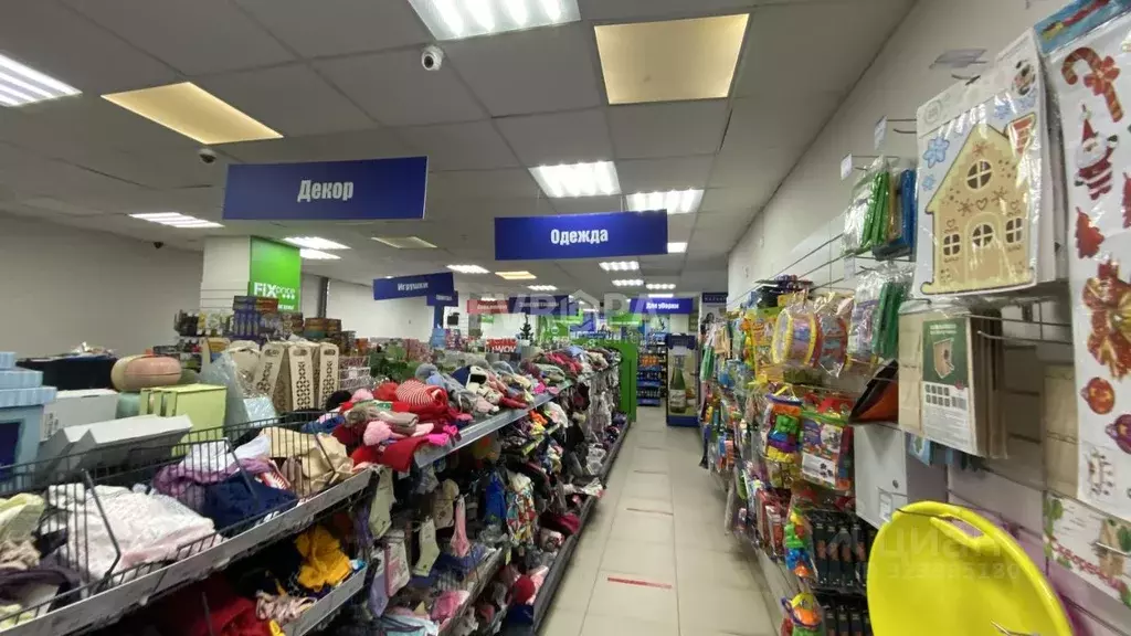 Торговая площадь в Ульяновская область, Ульяновск ул. Димитрова, 2 ... - Фото 2