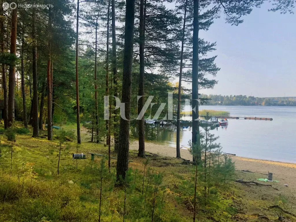 Участок в Приозерский район, Петровское сельское поселение, деревня ... - Фото 1