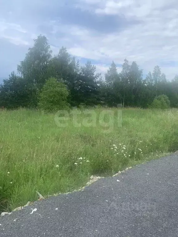 Участок в Московская область, Одинцовский городской округ, Березовая ... - Фото 0