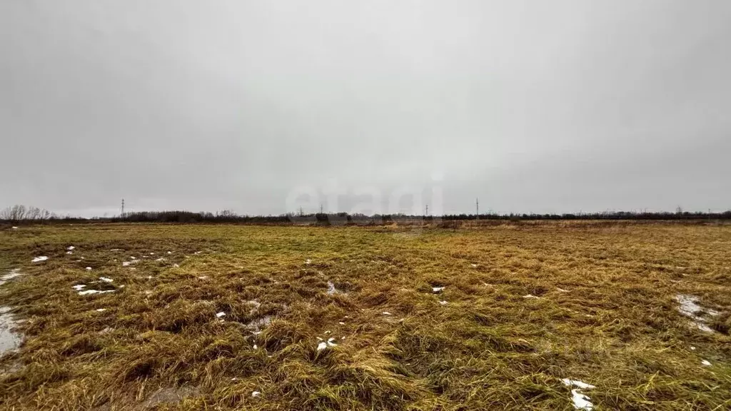 Участок в Архангельская область, Приморский муниципальный округ, д. ... - Фото 1