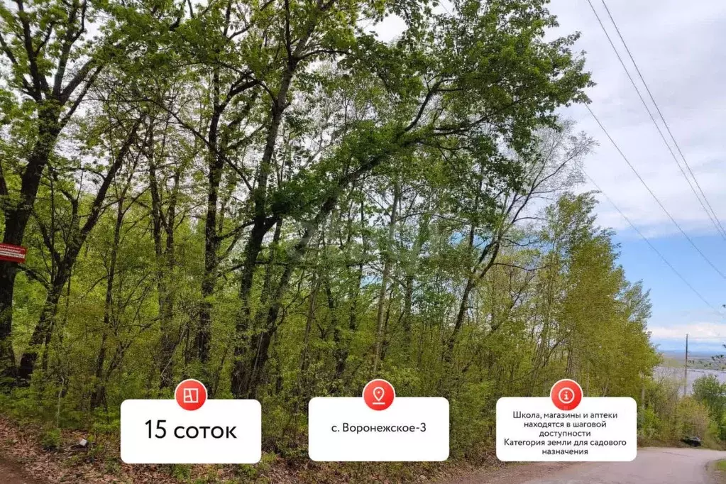 Участок в Хабаровский край, Хабаровский район, Мичуринское с/пос, с. ... - Фото 1