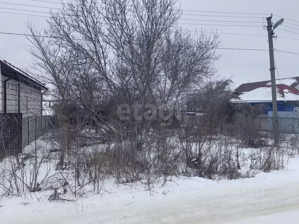 Участок в Белгородская область, Алексеевка ул. 7 Ноября, 31 (10.8 ... - Фото 2