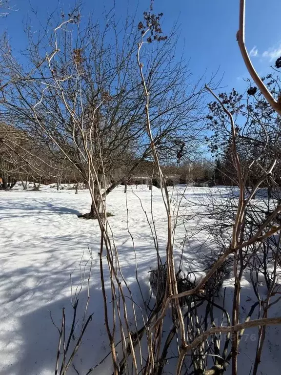 Участок в Московская область, Мытищи городской округ, д. Аббакумово ... - Фото 2