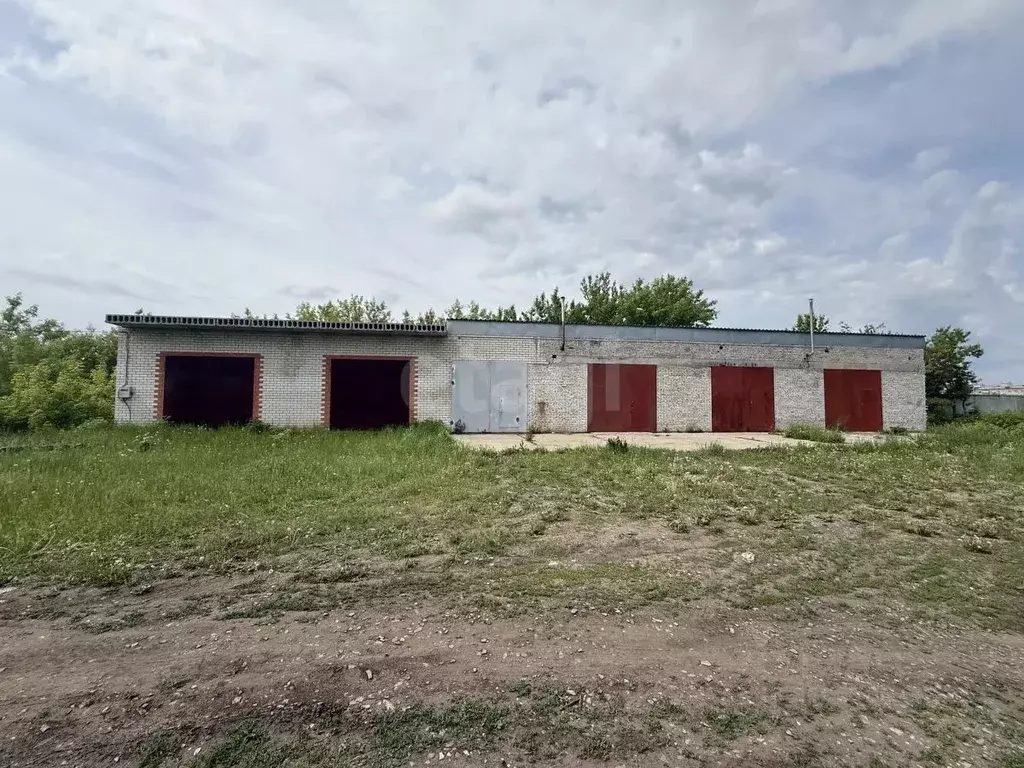 Гараж в Курганская область, Курган Чернореченская ул., 42А (76 м) - Фото 2