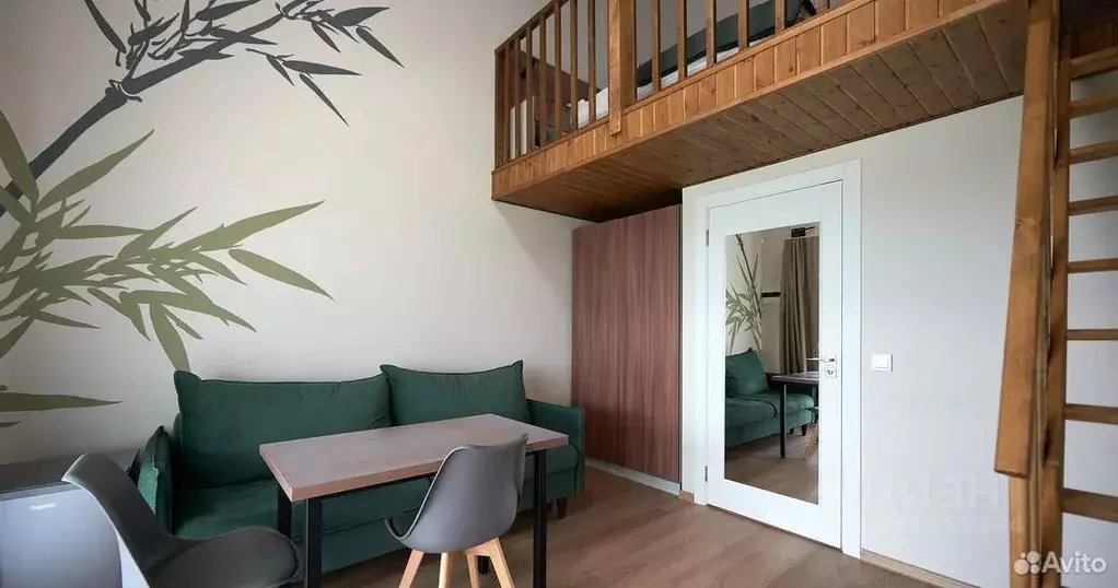 Студия Калужская область, Боровский муниципальный округ, д. Петрово, ... - Фото 1