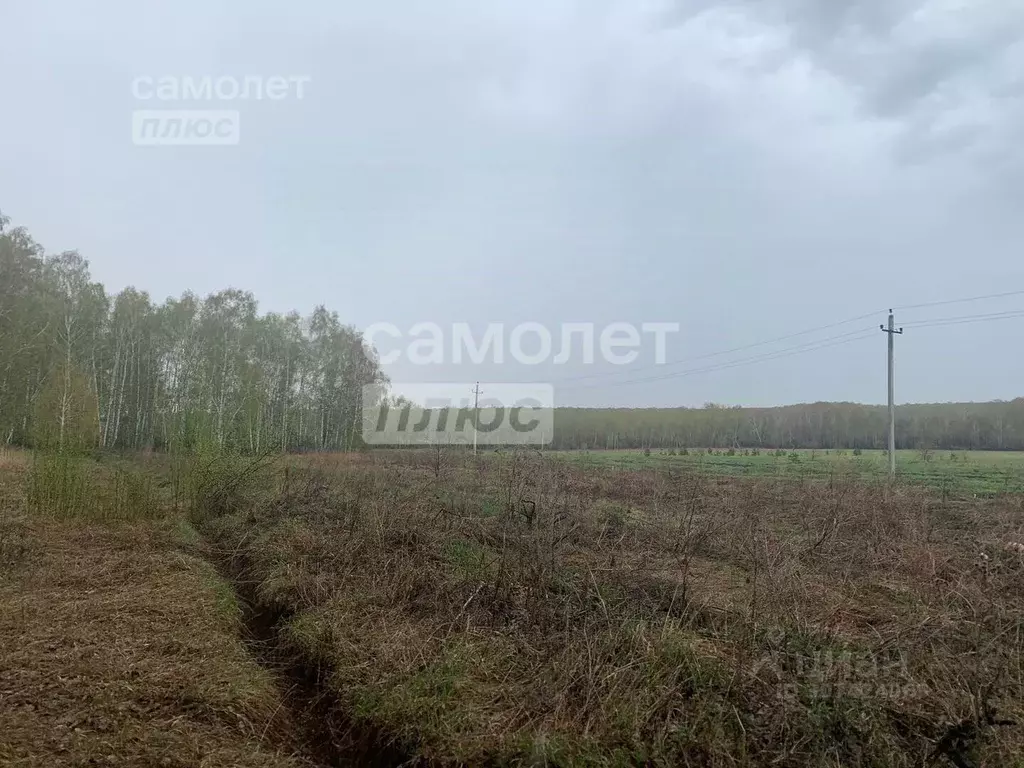 Участок в Челябинская область, Сосновский район, Кременкульское с/пос, ... - Фото 1