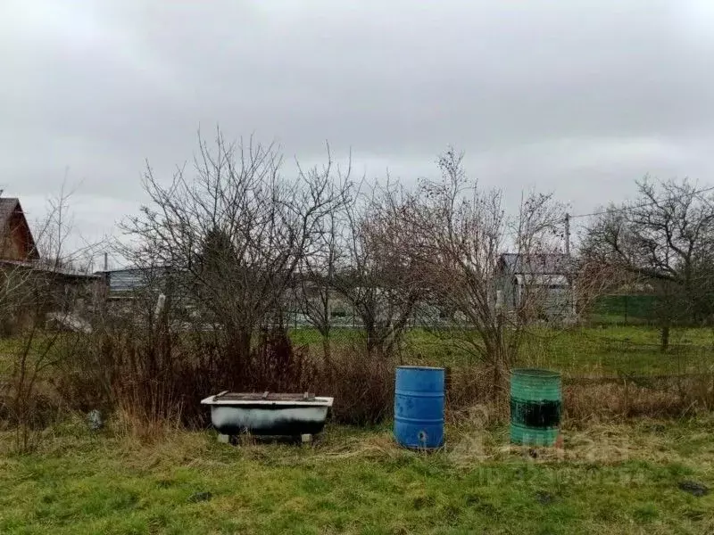 Участок в Калининградская область, Зеленоградск пос. Сосновка, 5 ... - Фото 2