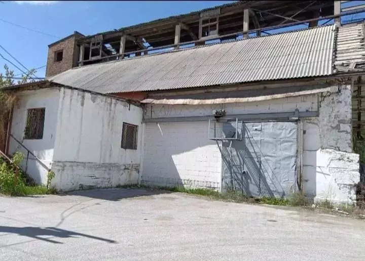 Помещение свободного назначения в Новосибирская область, Новосибирск ... - Фото 0