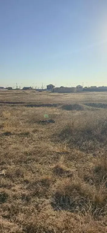 Участок в Крым, Сакский район, Суворовское с/пос, Чайка-С ... - Фото 2