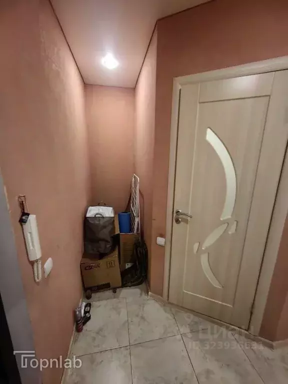 1-к кв. Саратовская область, Саратов ул. Имени Братьев Никитиных, 14 ... - Фото 1