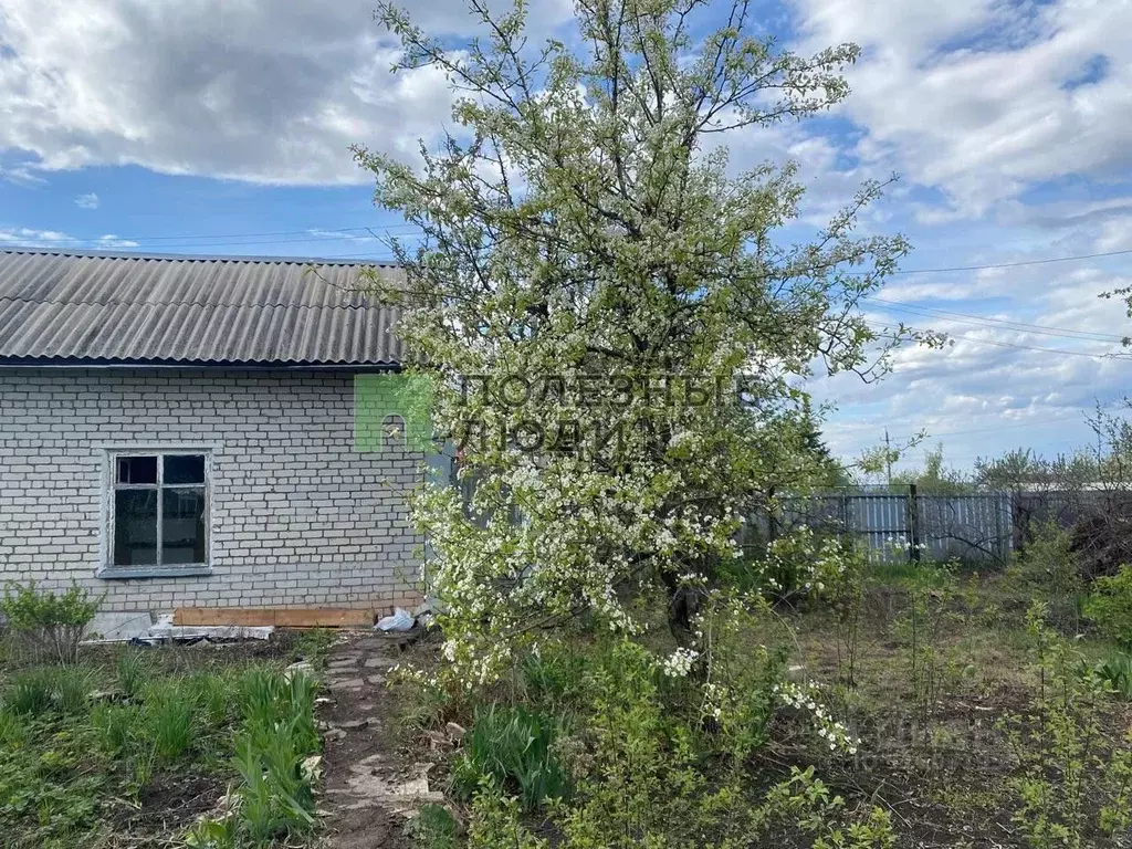 Участок в Самарская область, Красноярский район, Новосемейкино ... - Фото 1