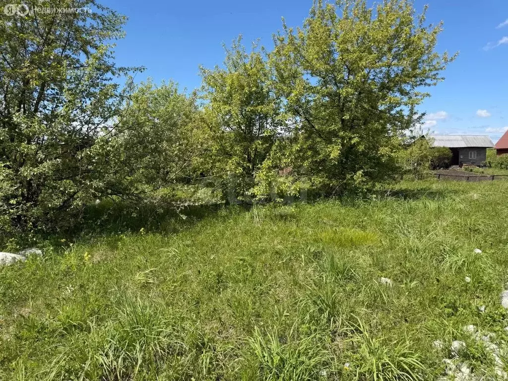 Участок в Майминский район, село Подгорное, Весенний переулок (6 м) - Фото 2