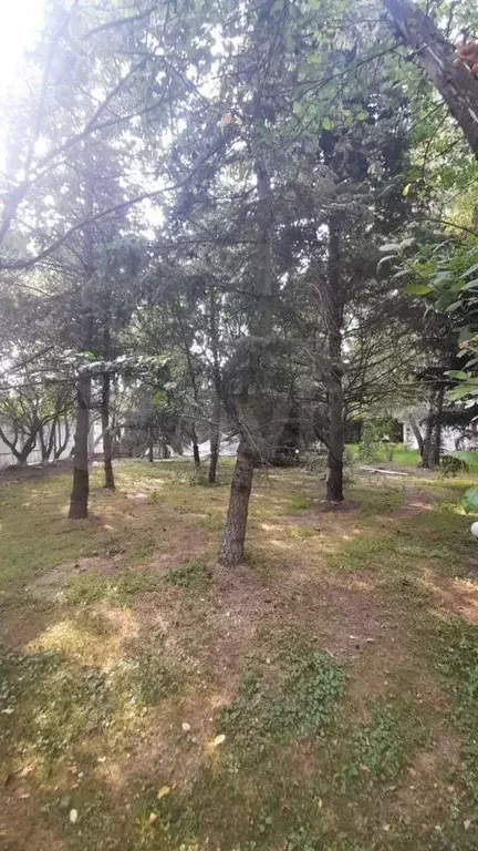 Участок 6,3 сот. (личное подсобное хозяйство (лпх)) - Фото 1