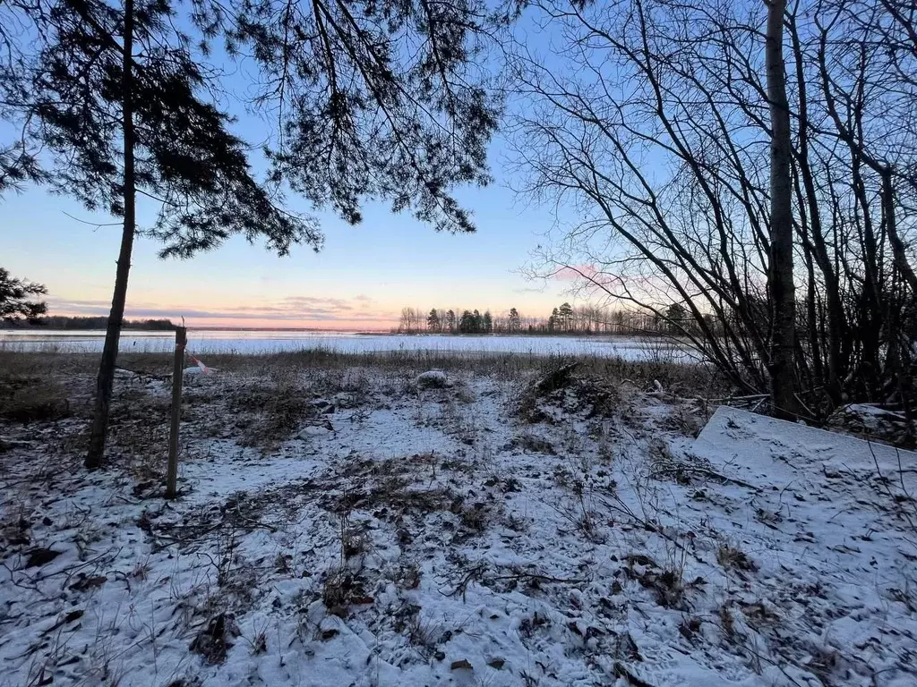 Участок в Карелия, Прионежский район, Шуйское с/пос, д. Намоево  (9.0 ... - Фото 1